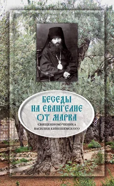 Священномученик Василий Кинешемский Беседы на Евангелие от Марка обложка книги