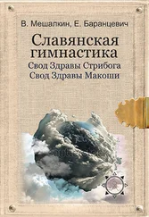 Владислав Мешалкин - Славянская гимнастика. Свод Здравы Стрибога. Свод Здравы Макоши. Практики волхвов