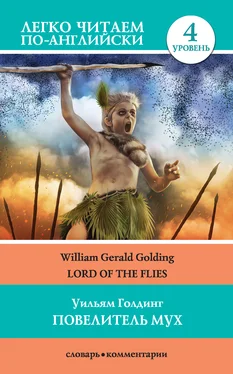 William Gerald Golding Повелитель мух / Lord of the Flies обложка книги