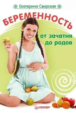 Екатерина Свирская Беременность от зачатия до родов обложка книги