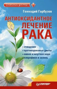 Геннадий Гарбузов Антиоксидантное лечение рака обложка книги