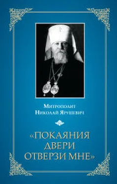 Митрополит Николай Ярушевич «Покаяния двери отверзи мне...» обложка книги