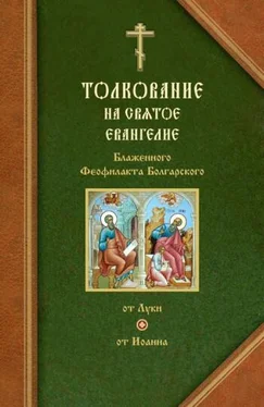 Феофилакт Болгарский Толкования на Евангелия от Луки и от Иоанна обложка книги