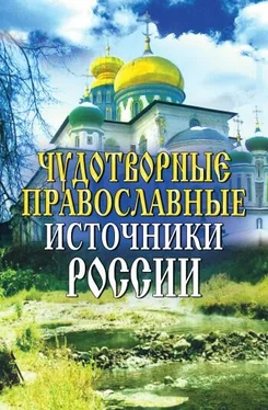 Ирина Анисимова Чудотворные православные источники России обложка книги