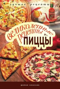 Анастасия Красичкова Великолепные рецепты пиццы обложка книги