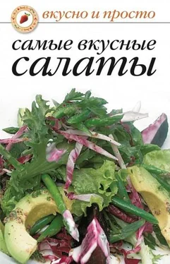 Сборник рецептов Самые вкусные салаты обложка книги