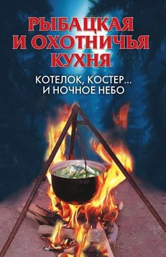 Алла Нестерова Рыбацкая и охотничья кухня. Котелок, костер… и ночное небо обложка книги