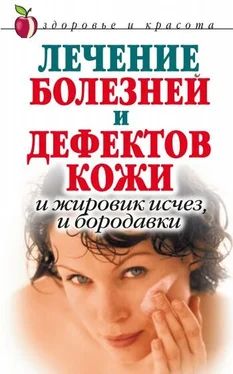 Екатерина Константинова Лечение болезней и дефектов кожи. И жировик исчез, и бородавки обложка книги