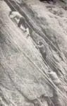 Боец спецотряда Скалы зашиты Скалолазгеолог Буревестник Отсюда уже - фото 25