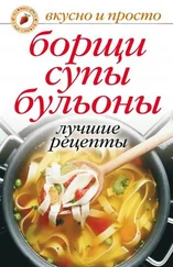 Юлия Николаева - Борщи, супы, бульоны. Лучшие рецепты