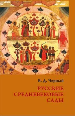 Валентин Черный Русские средневековые сады: опыт классификации обложка книги