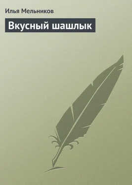 Илья Мельников Вкусный шашлык обложка книги