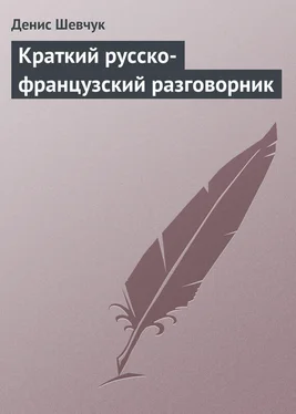 Денис Шевчук Краткий русско-французский разговорник обложка книги