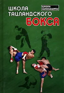 Билл Уоллес Школа таиландского бокса обложка книги