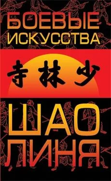 Евгений Чертовских Боевые искусства Шаолиня обложка книги