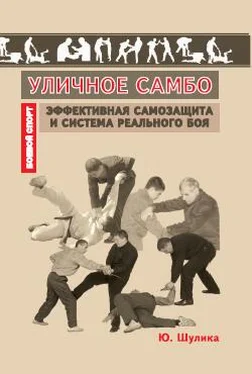 Коллектив авторов Уличное самбо. Эффективная самозащита и система реального боя обложка книги