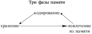Кодирование Кодирование заключается в поглощении информации через органы - фото 3