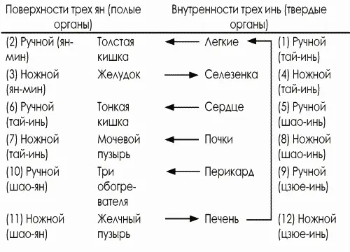 Помимо этих основных ходов двенадцати меридианов для течения внутренней ци - фото 3