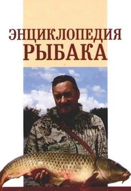 А. Умельцев Энциклопедия рыбака обложка книги