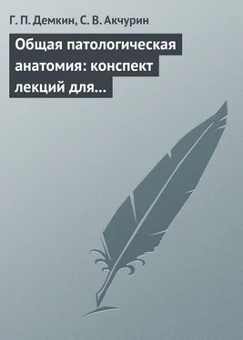 Сергей Акчурин Общая патологическая анатомия: конспект лекций для вузов обложка книги