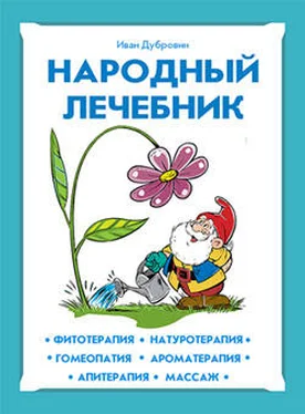 Иван Дубровин Народный лечебник обложка книги