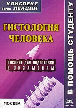 Александр Седов Гистология человека: конспект лекций для вузов обложка книги