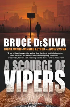 Bruce DeSilva A Scourge of Vipers обложка книги