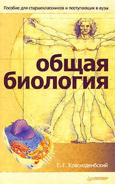 Евгений Краснодембский Общая биология. Пособие для старшеклассников и поступающих в вузы обложка книги