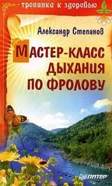 Александр Степанов Мастер-класс дыхания по Фролову обложка книги