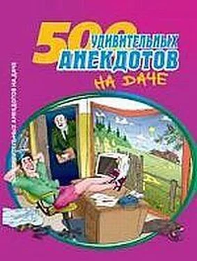 Сборник 500 удивительных анекдотов на даче обложка книги