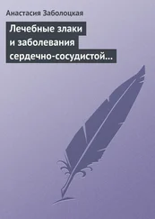 Анастасия Заболоцкая - Лечебные злаки и заболевания сердечно-сосудистой системы