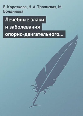 М. Болдинова Лечебные злаки и заболевания опорно-двигательного аппарата обложка книги