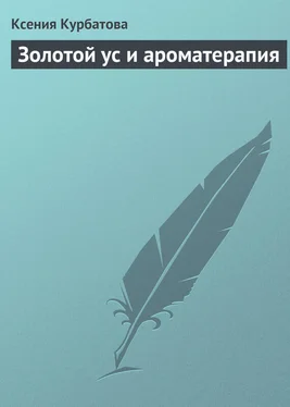 Ксения Курбатова Золотой ус и ароматерапия обложка книги