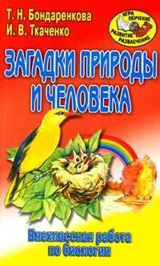 Татьяна Бондаренкова Внеклассная работа по биологии