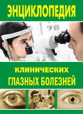 Лев Шильников Энциклопедия клинических глазных болезней обложка книги