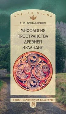 Григорий Бондаренко Мифология пространства древней Ирландии обложка книги