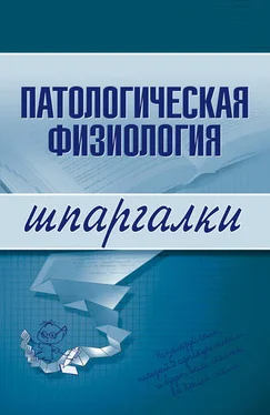 Владислав Барсуков Патологическая физиология обложка книги