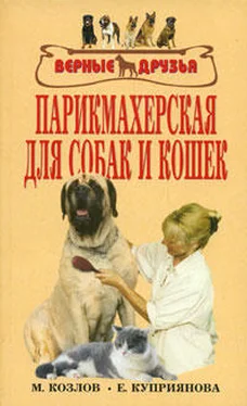 М. Колов Парикмахерская для собак и кошек обложка книги