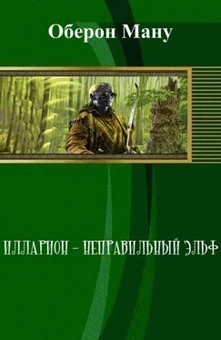 Оберон Ману Илларион – неправильный эльф (СИ) обложка книги