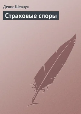 Денис Шевчук Страховые споры обложка книги