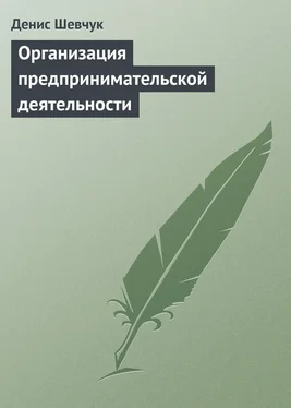 Денис Шевчук Организация предпринимательской деятельности обложка книги