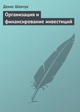 Денис Шевчук Организация и финансирование инвестиций обложка книги