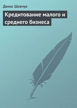 Денис Шевчук Кредитование малого и среднего бизнеса обложка книги