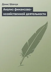 Денис Шевчук - Анализ финансово-хозяйственной деятельности