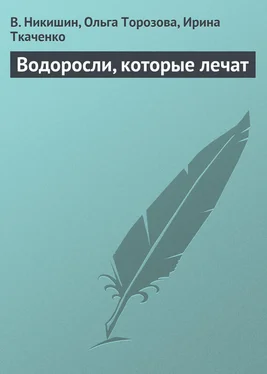 Ольга Торозова Водоросли, которые лечат обложка книги