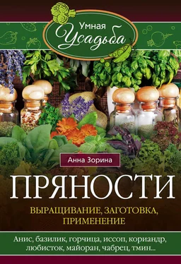 Анна Зорина Пряности. Выращивание, заготовка, применение обложка книги