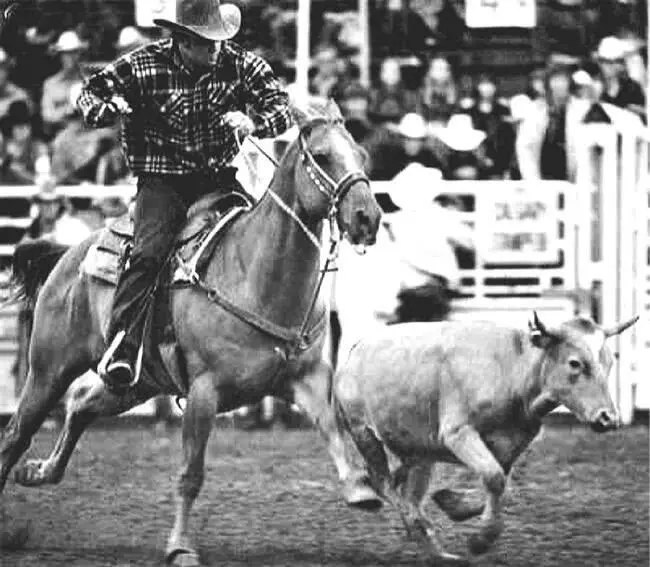 Родео Cowboys коровьи мальчики были совсем не такими молодцами как - фото 3