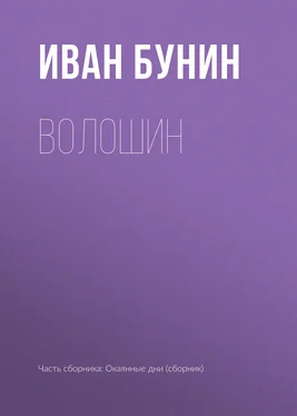 Иван Бунин Волошин обложка книги