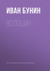 Иван Бунин - Волошин