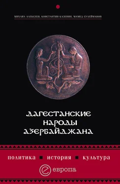 Мамед Сулейманов Дагестанские народы Азербайджана. Политика, история, культура обложка книги